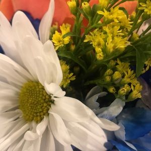 Meet your Posher, Molly